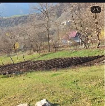 kend evi: Kənd təsərrüfatı — 6