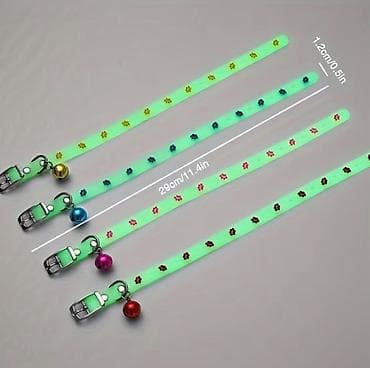 it üçün xalta: Parlayan heyvan boyunbağısı – it və pişiklər üçün Gündəlik istifadə — 2