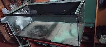 Akvarium Satilir Olculeri 1 metr uzunu 48 sm eni 40 sm hundurluyu