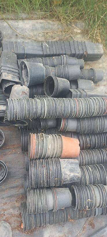 Çöl bitkiləri: Salam dekorativ bitkilər üçün plastik islenmis ve saglam istifadeye — 2