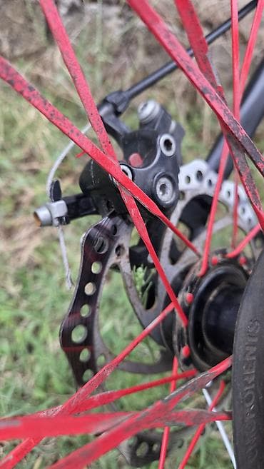 26: STrim XT2600 dağ velosipedi Salam Aleykum Velosiped normal — 5