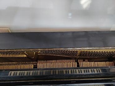 Klavişli alətlər: Piano, Akustik — 1
