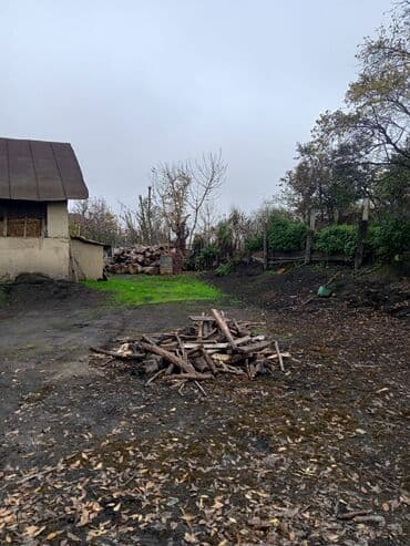 Həyətyanı ev və torpaq sahəsi - Geniş həyətyanı sahə: həyətin