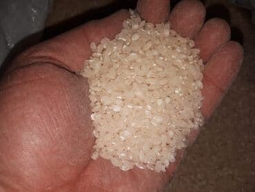 Şirniyyat məhsulları: Məhsul: Ağdaş düyüsü. Öz kəndimizin məhsuludur. Ağdaş rayonu Ləki — 8