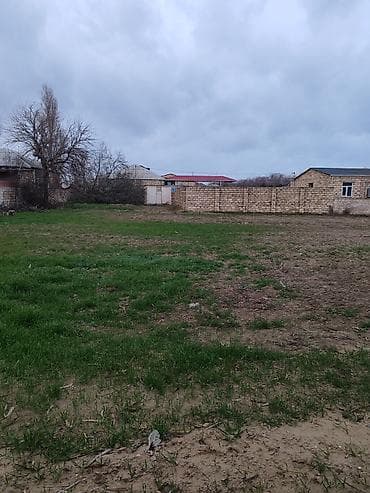 30 sot, Tikinti, Maklerlər narahat etməsin, Kupça (Çıxarış)