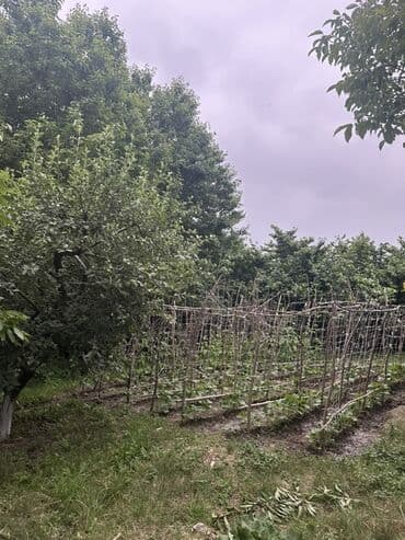 ismayıllı kirayə evlər: Для сельского хозяйства, Купчая — 10