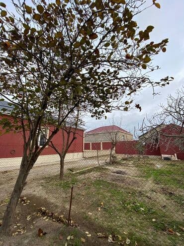 heyət evi: 4 otaqlı, 120 kv. m, Orta təmir — 21