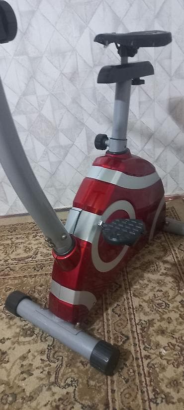 Digər idman və istirahət malları: Maqnitik velotrenajor - Rəng: qırmızı/gümüşü korpus - Maqnitik — 4