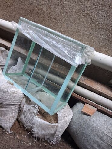 baliq: Şüşə akvarium - Material: qalın, şəffaf şüşə panellər, silikonla — 1