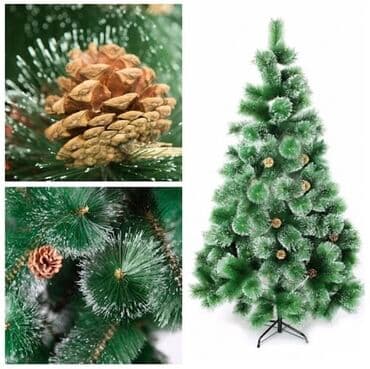 qara şam yandırmaq: Yolka — 4