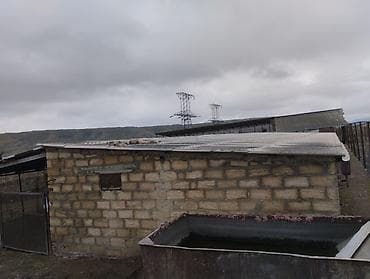 3 otaqlı mənzillərin satışı: Ferma kompleksi – mal-qara saxlanışı üçün hazır infrastruktur - Geniş — 10