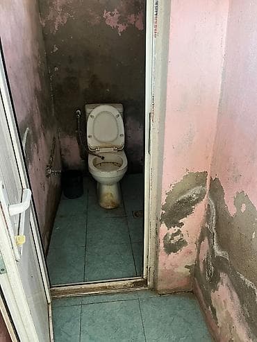 papaninde kiraye evler: Ev 3otaqdir.Su qaz işiq internet var.İstilik kombi ile.Paltaryuyan — 10