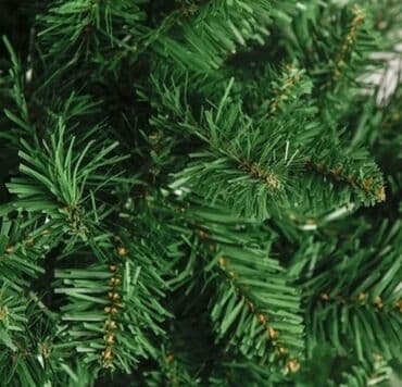 Елка новая 1.80см — 2