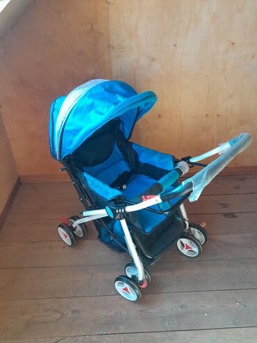 4 ayliq usaq: Klassik gəzinti arabası, Yaş: 12-18 ay — 1