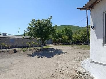 Bağ evlərinin satışı: Siyəzən, 12000 kv. m, 3 otaqlı, Qaz, İşıq, Su — 7