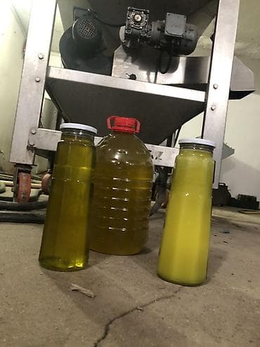 zeytun yagi: Zeytun yağı, 1 l, Ödənişli çatdırılma — 2