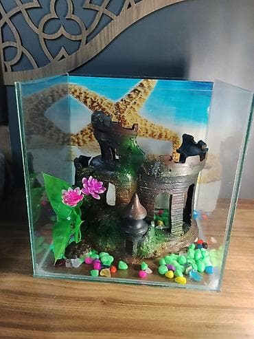 10litrlik akvarium En 25 Uzun 27 Bezekleri birlikde Barter var.real