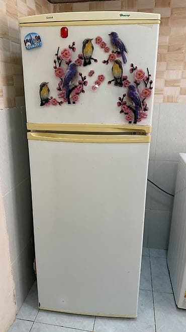 dnepr: Dnepr soyuducu işləkdir — 1
