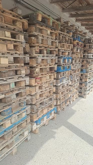 bide: Pallet, 800 х 1200 sm — 1