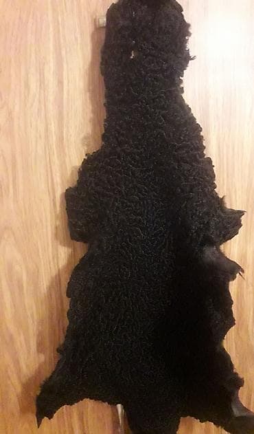 Buxara papaqlıq quzu dərisi təmiz dəri