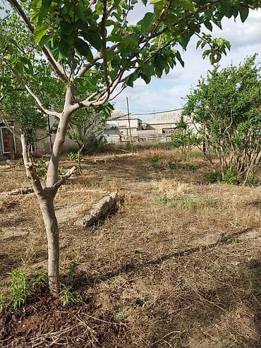 Гаражи: Для сельского хозяйства — 8