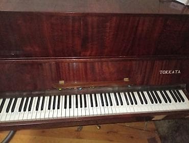 Musiqi alətləri: Piano, Akustik — 2