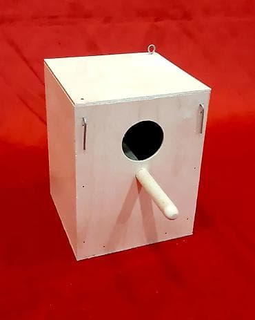 Собаки: Popuqay yuvasi Popuqay yuvası QIYMETI - 4 manat Topdan satis var — 2