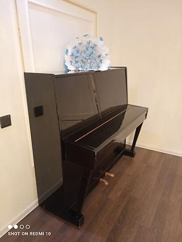 CD, DVD disklər və kassetlər: Piano, Belarus, Akustik — 9