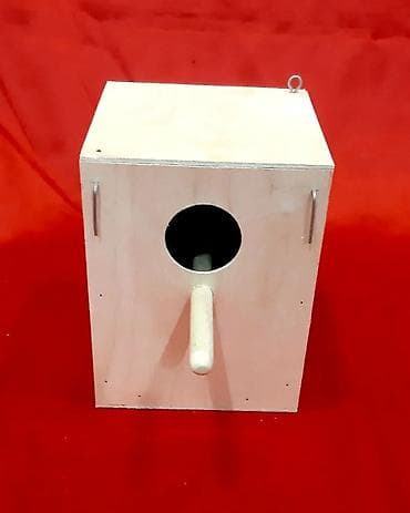 Собаки: Popuqay yuvasi Popuqay yuvası QIYMETI - 4 manat Topdan satis var — 3