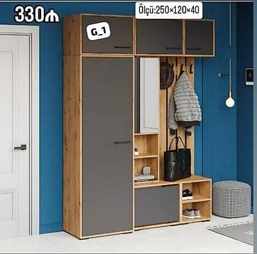 Dəhliz üçün çoxfunksiyalı modul dolab sistemi - Ölçü: 250 × 120 × 40