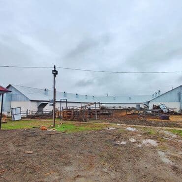 vasitəcisiz birbaşa sahibindən mənzil kirayələmək: Kənd təsərrüfatı, Mülkiyyətçi, Bələdiyyə, Kupça (Çıxarış) — 24