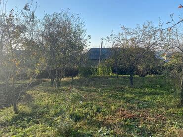 qubada torpaq satilir 2020: 10 sot, Mülkiyyətçi, Kupça (Çıxarış) — 3