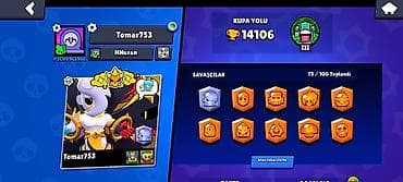mağara: Brawl Stars hesabı – ətraflı məlumat - Kupa: 14 106 (Kupa Yolu – III — 4