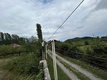15 sot, Tikinti, Kupça (Çıxarış)