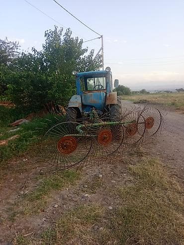 gence masinlar: Traktor Belarus (MTZ) 50, 1988 il, 80 at gücü, motor 1.2 l, İşlənmiş — 4