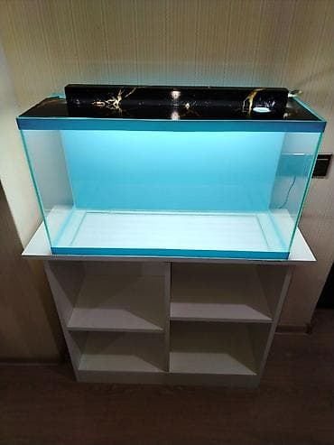 Dördbucaq akvarium, Boş, 70 l