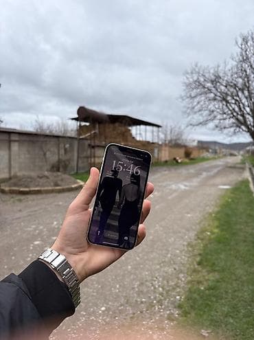 IPhone 12, Ağ