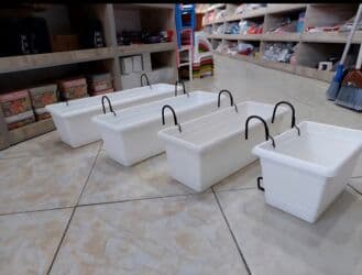 kaybolan yıllar 50: Dibcek Dibcek qabi yumru aq rengli gul.qabi yumru aq rengli dibcek — 6