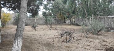 lenkeranda torpaq: 7 sot, Tikinti, Kupça (Çıxarış) — 3