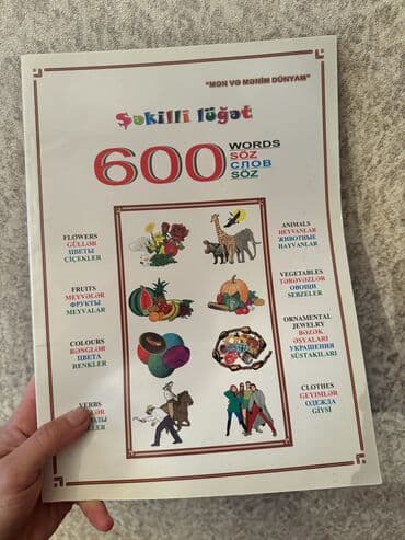 Python kitabı 45azn 30 günə rus dilini öyrədən kitab. + 2CD diski