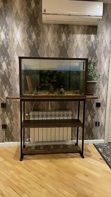 Digər heyvanlar: Akvaryum və stend dəsti - Geniş şüşə akvaryum: düz bucaqlı forma, ön — 3