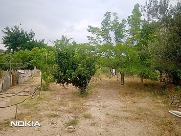 mastagada torpaq: 11 sot, Kupça (Çıxarış) — 2