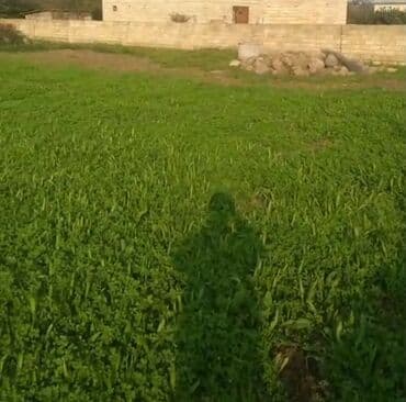 Другие аксессуары для мобильных телефонов: Для сельского хозяйства — 1