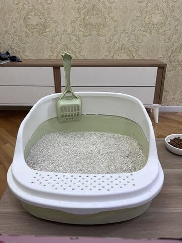 Akvarium aksessuar və ləvazimatları: Yaxşı əllərə — 5