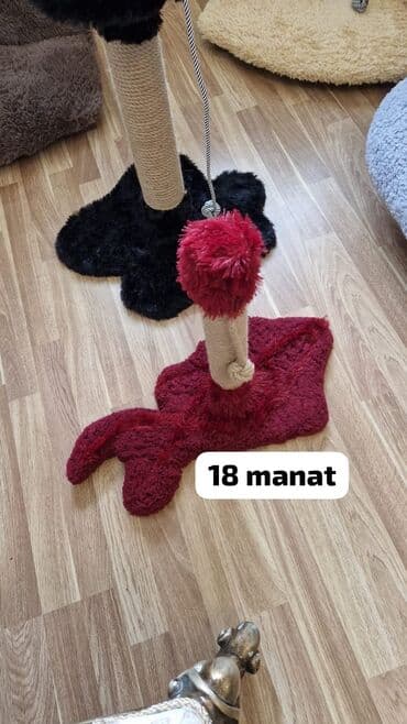 pişik yuvası qiyməti: Pişik üçün qaşınma dirəkləri və oyun stendləri — 4