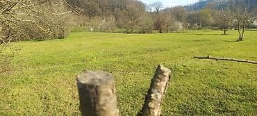 astara rayonu: Tikinti — 8