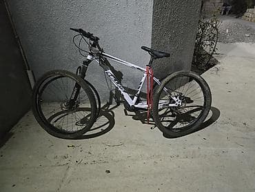 Phillips Mountain Bike – MTB Classic Bike - Növ: Dağ velosipedi (MTB) — 5