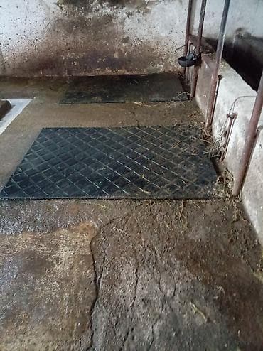 rezin doşəmə: Ferma və təsərrüfatlar üçün rezin döşəmə örtüyü (mat) - Material — 6