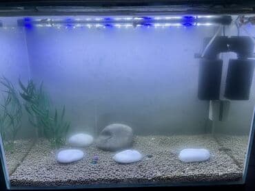 Грызуны: Прямоугольный аквариум, Пустой, 90 л, Платная доставка — 7