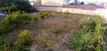 земельный участок в деревне: 6 соток, Для строительства, Купчая — 1